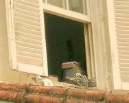 Shoes in Window