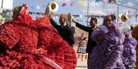Quadrille 7